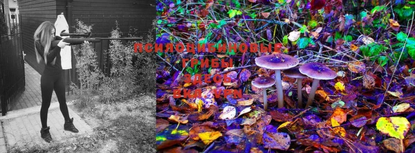 MESCALINE Армянск