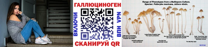как найти закладки  Приморско-Ахтарск  Галлюциногенные грибы мицелий 